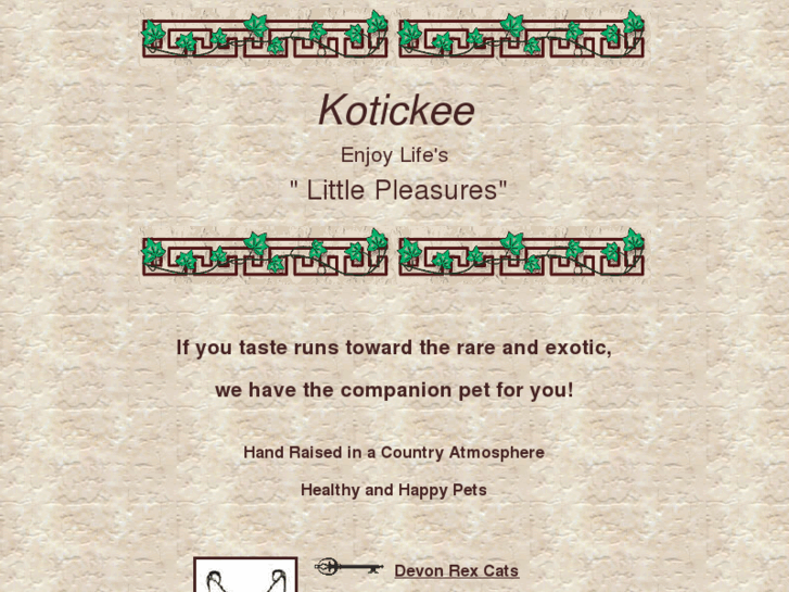 www.kotickee.com