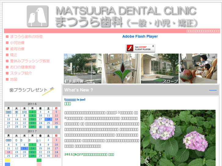 www.matsuura-dental.net