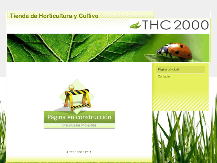 www.thc2000.com