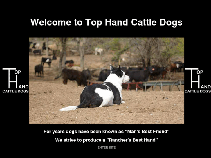 www.tophandcattledog.com