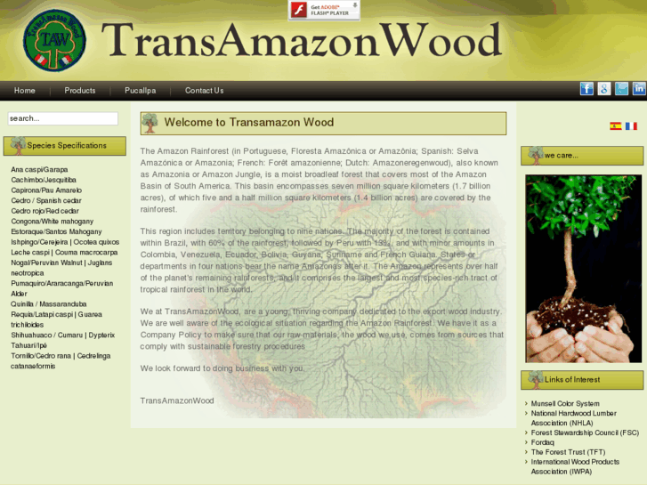 www.transamazon-wood.com