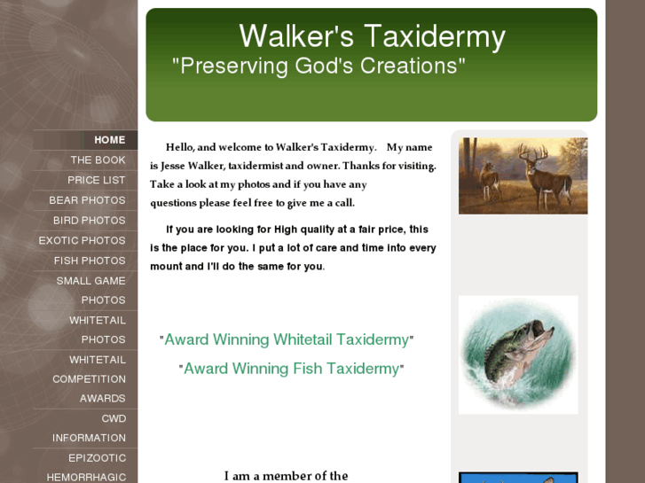 www.walkerstaxidermy.com