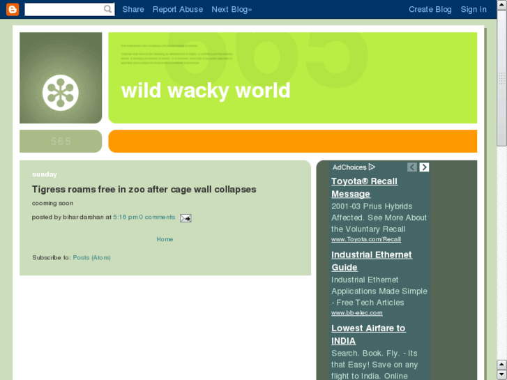 www.wildwackyworld.com