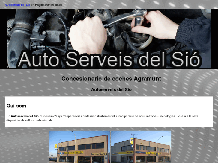 www.autoserveisdelsio.es