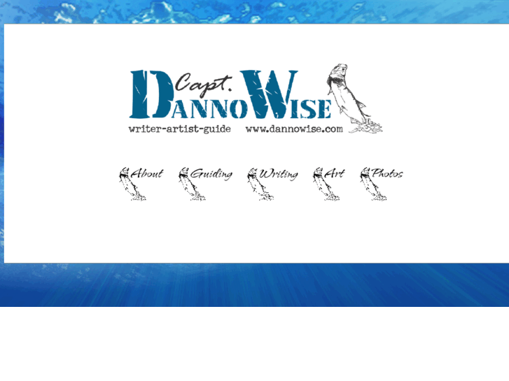 www.dannowise.com