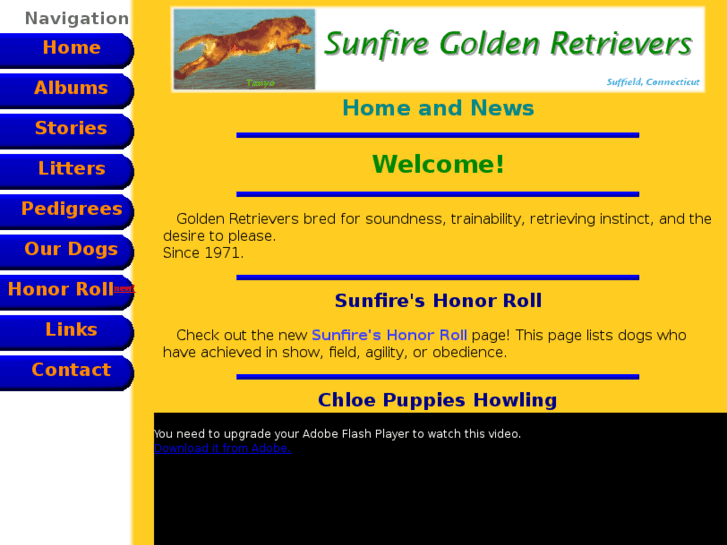 www.sunfiregold.com