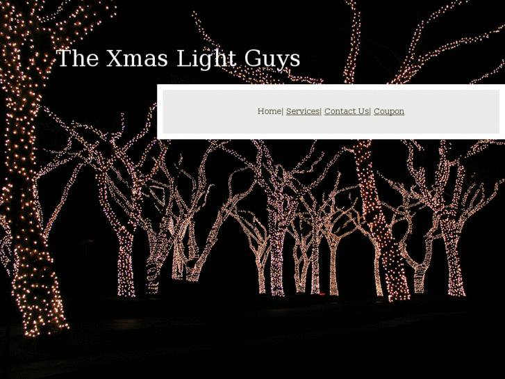 www.xmaslightguys.com