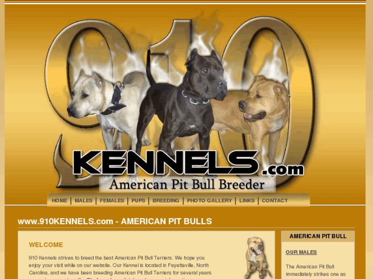 www.910kennels.com