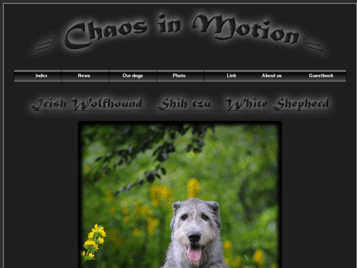 www.chaos-in-motion.com