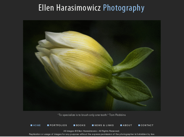 www.ellenharasimowicz.com