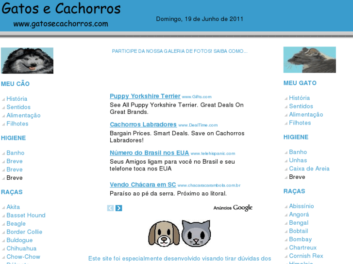 www.gatosecachorros.com