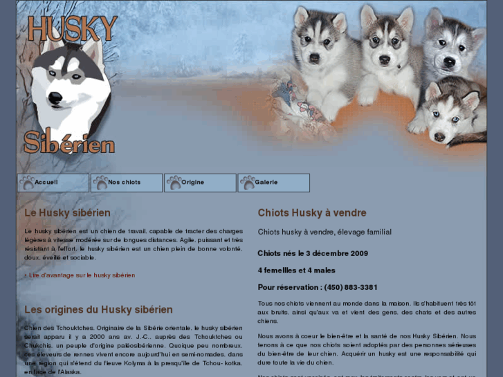 www.husky-siberien.net