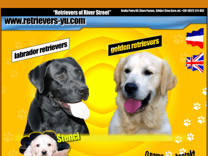 www.retrievers-yu.com