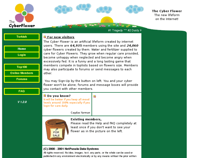 www.thecyberflower.com