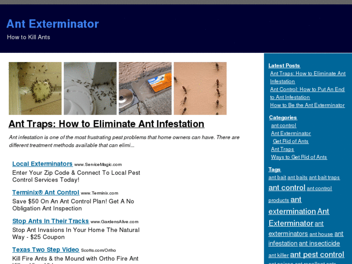 www.antexterminator.org