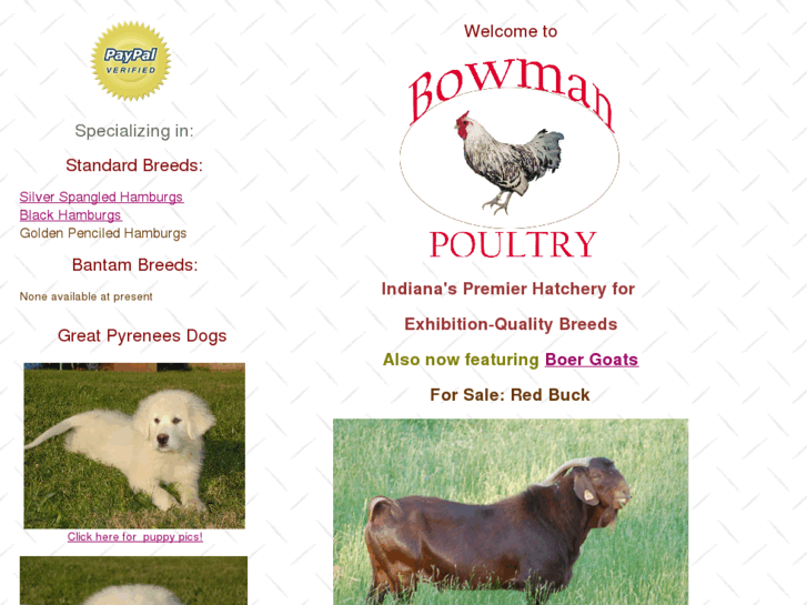 www.bowmanpoultry.com