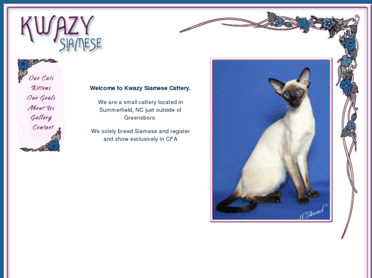 www.kwazysiamese.com