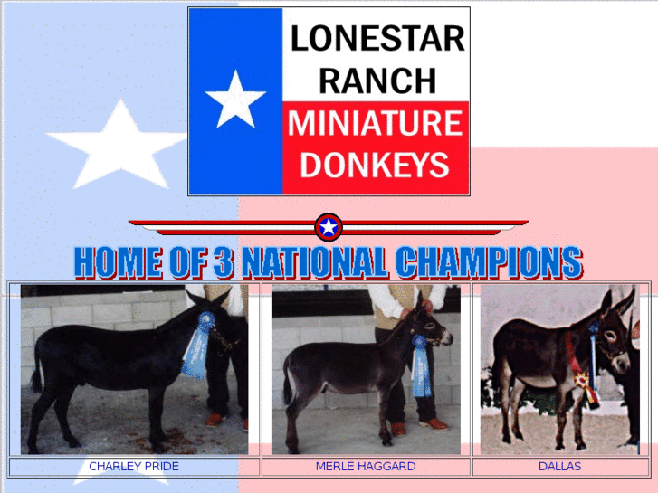 www.lonestardonkey.com