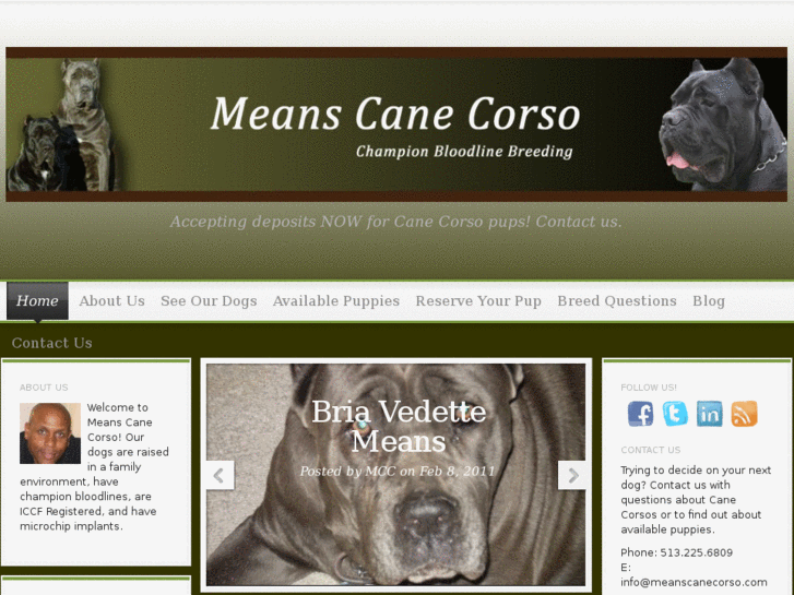 www.meanscanecorso.com