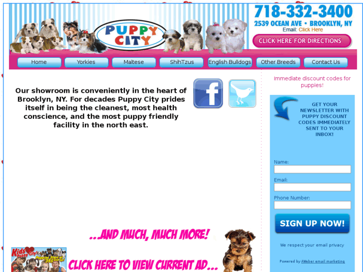 www.puppycityny.com