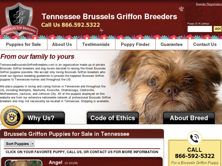 www.tennesseebrusselsgriffonbreeders.com