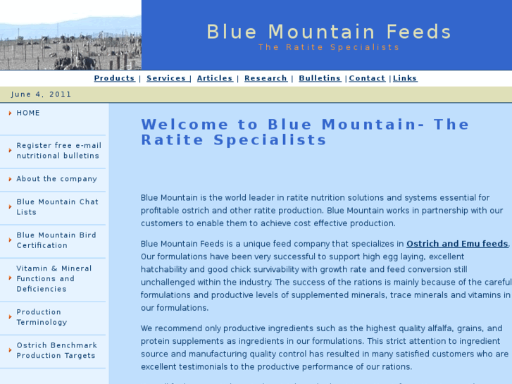 www.blue-mountain.net