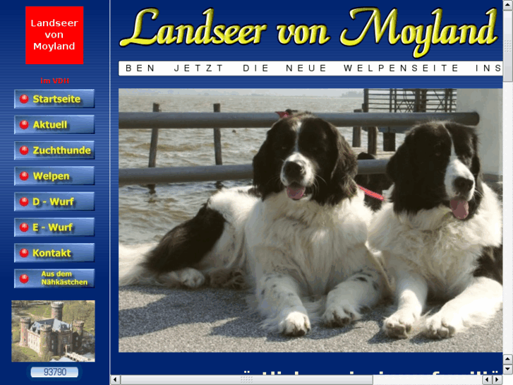 www.landseerzucht.com