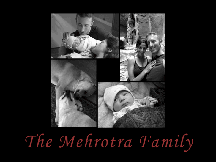 www.themehrotrafamily.com