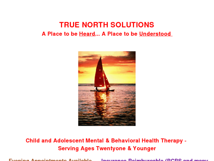 www.truenorthsolutions.info