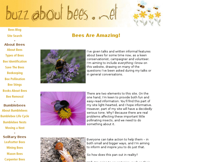 www.types-of-bees.com