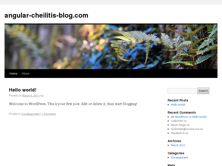 www.angular-cheilitis-blog.com