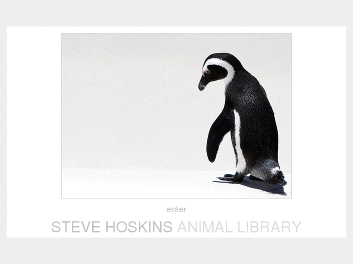 www.animal-library.com