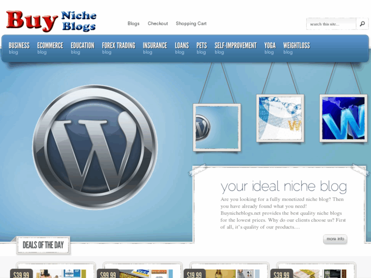 www.buynicheblogs.net