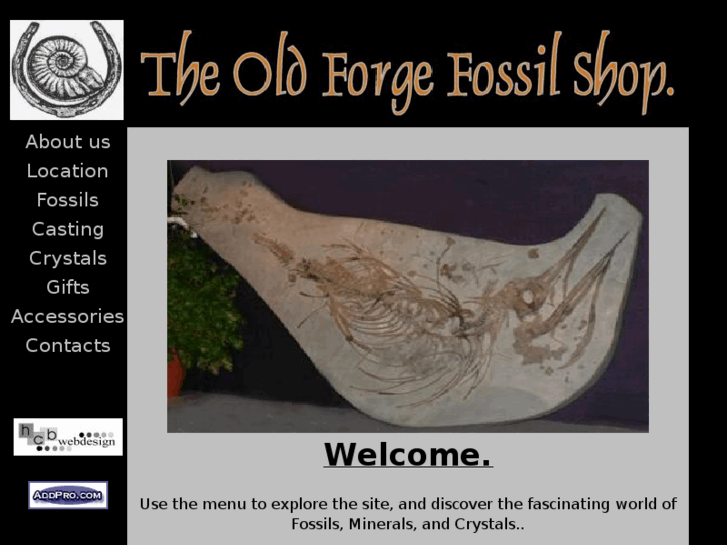 www.fossilshop.net