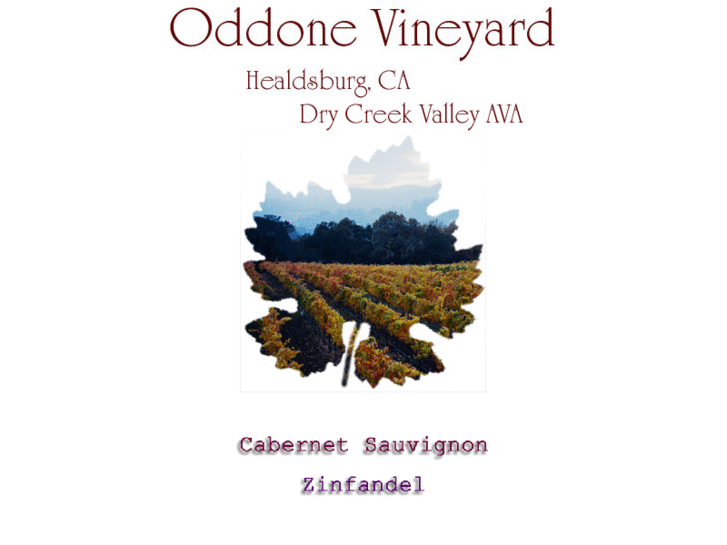 www.oddonevineyard.com