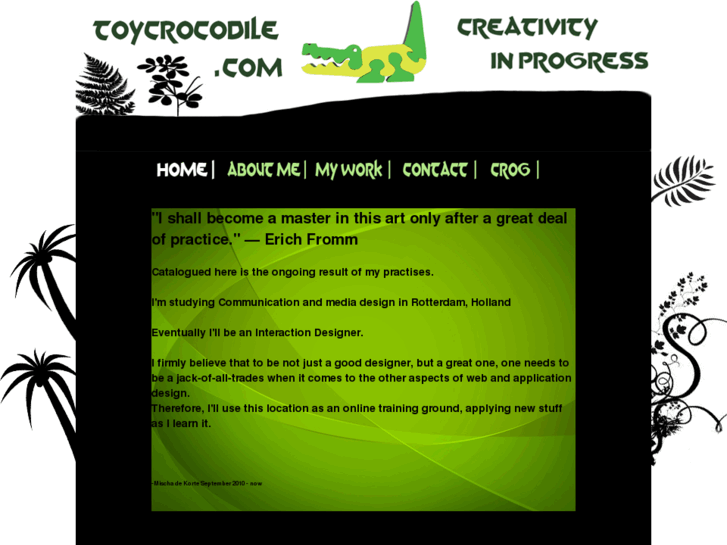 www.toycrocodile.com