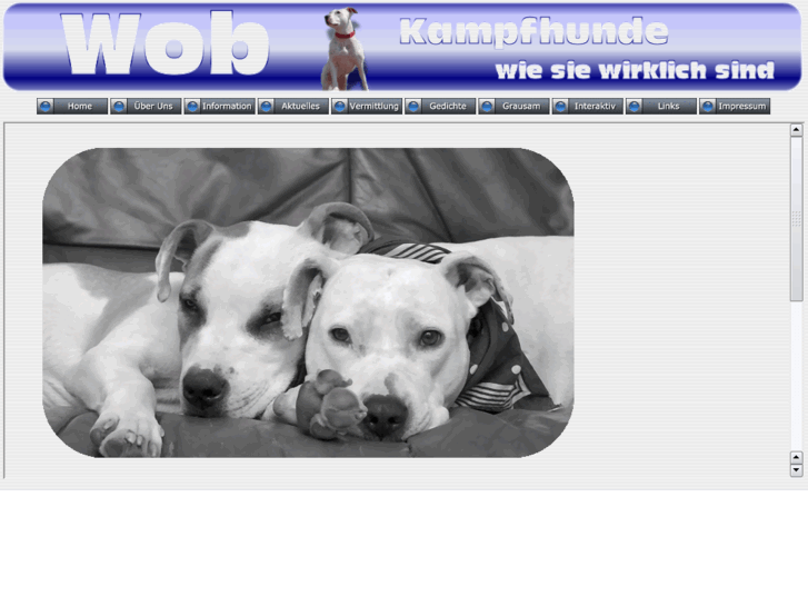 www.wob-kampfhunde.com