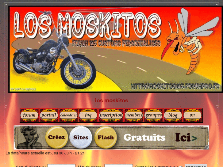 www.losmoskitos.com