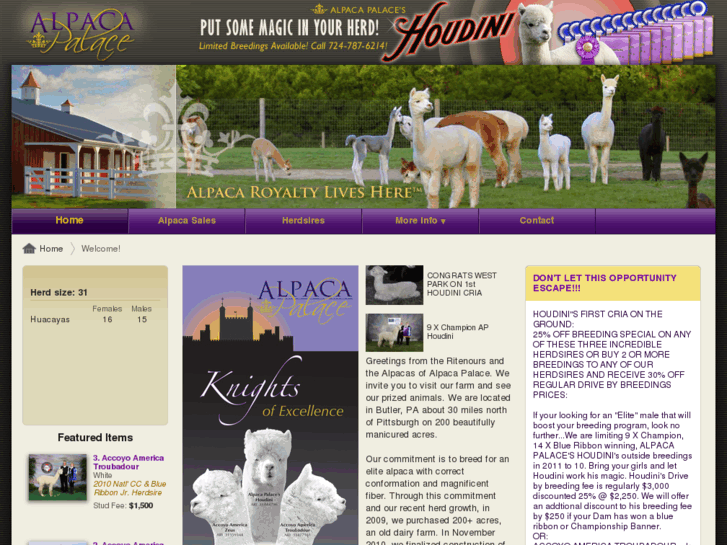 www.alpacapalace.com