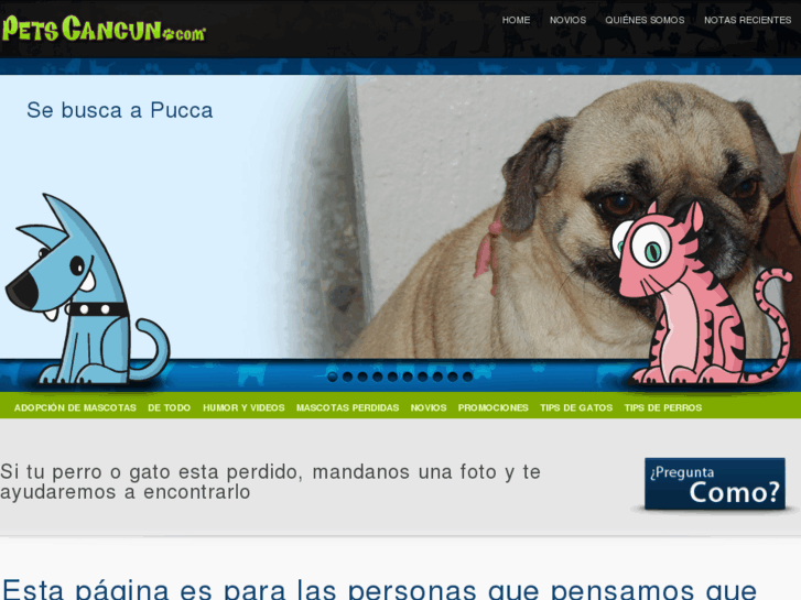 www.petscancun.com