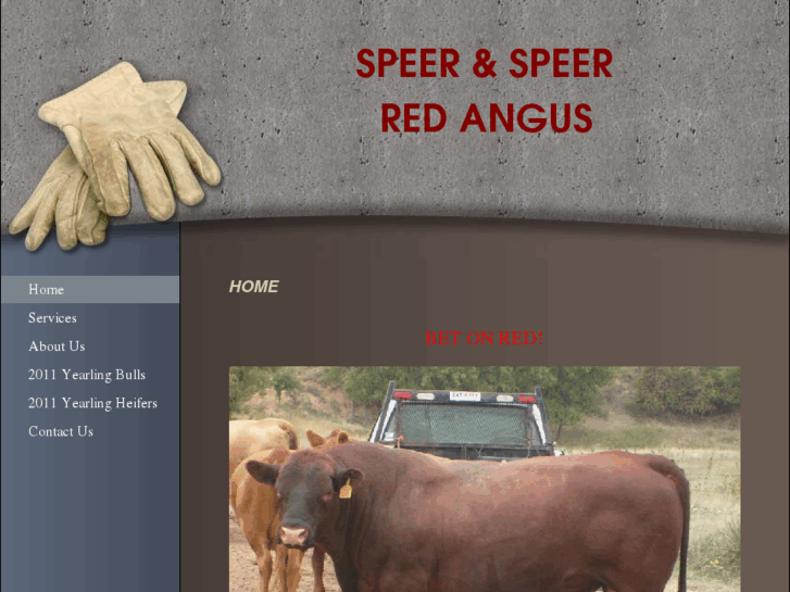 www.speerredangus.com