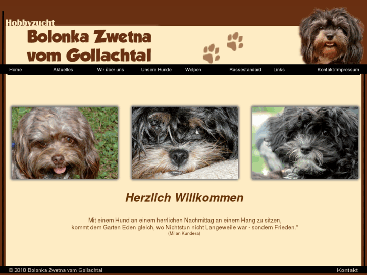 www.bolonka-zwetna.org