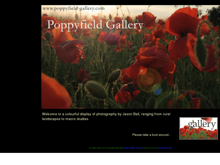 www.poppyfield-gallery.com