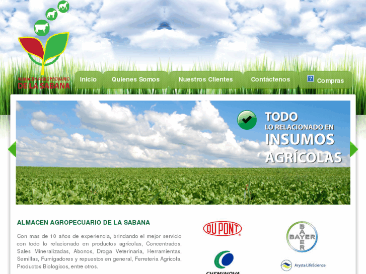 www.agrolasabana.com