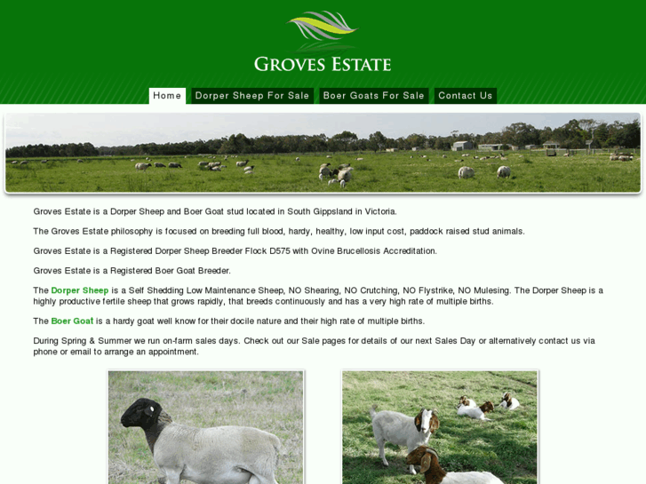 www.grovesestate.com