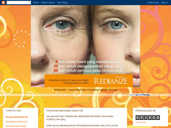 www.redianze.com