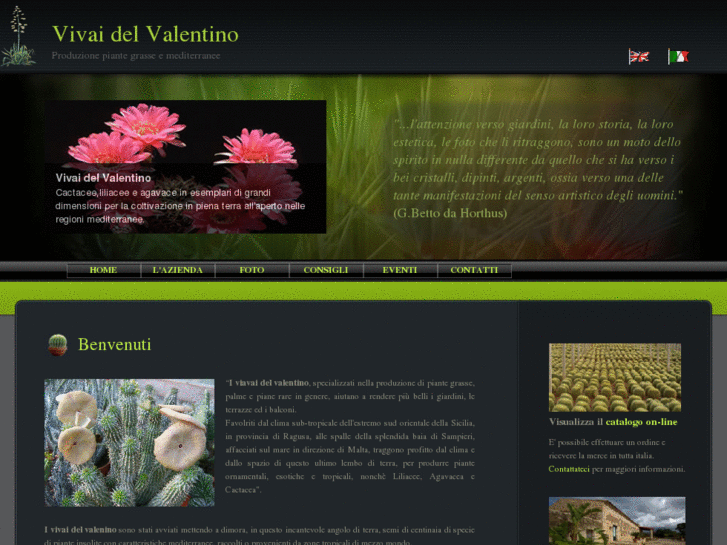 www.vivaidelvalentino.com