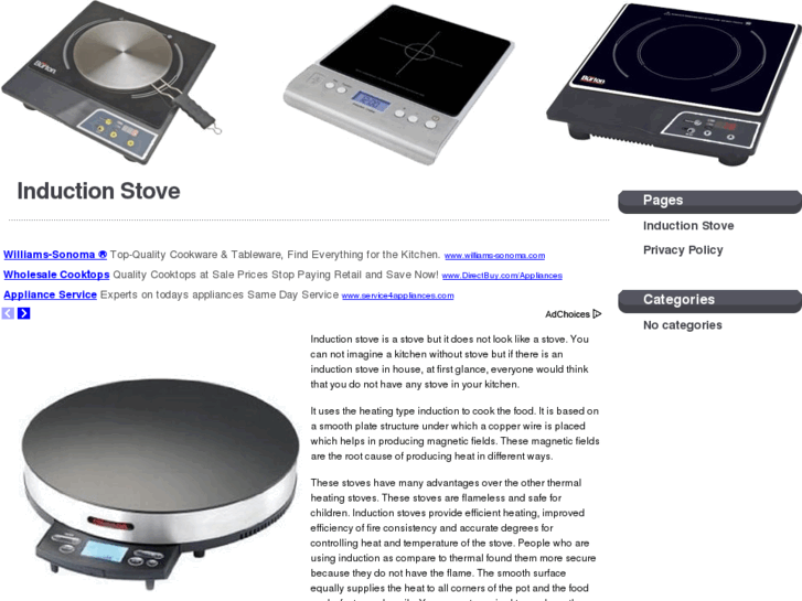 www.inductionstove.net