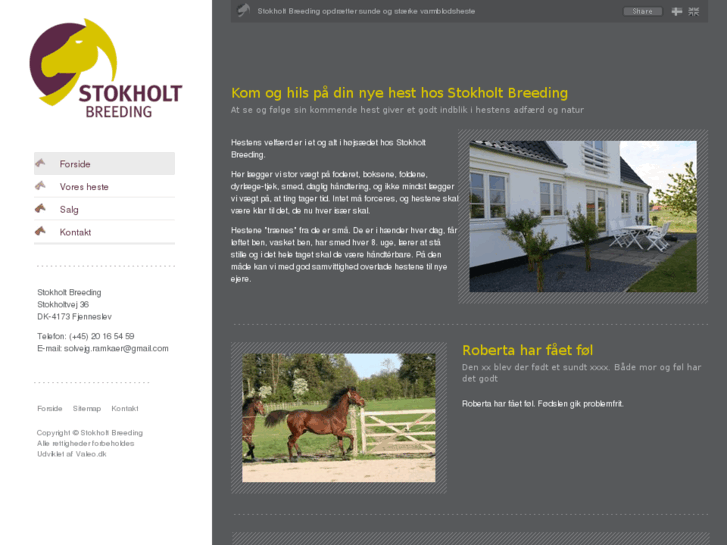 www.stokholt.com