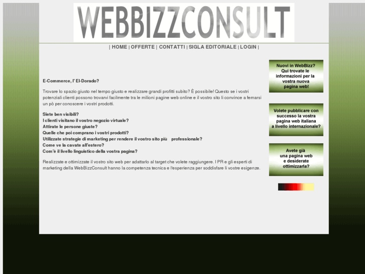 www.webbizzconsult.com